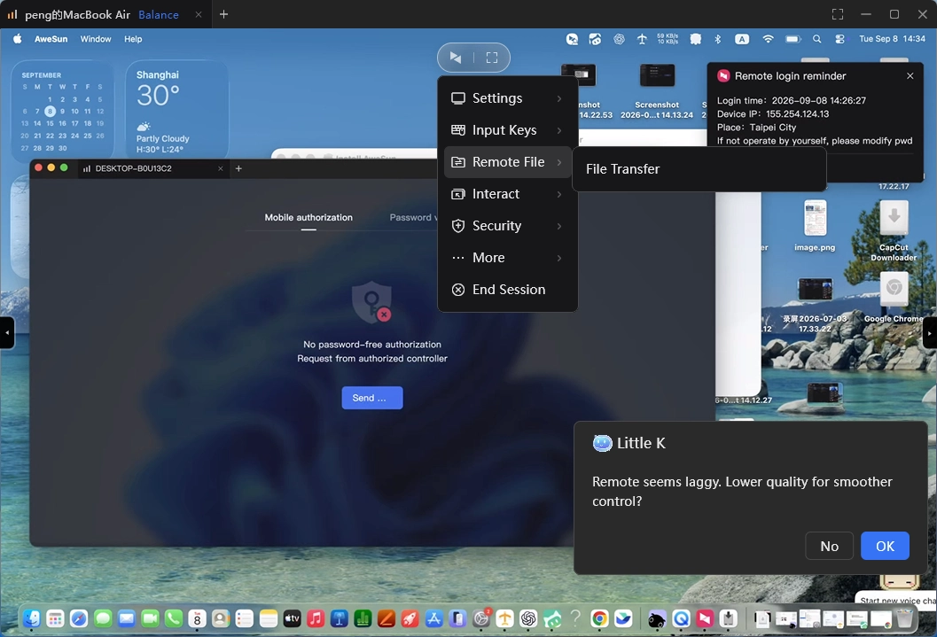 TeamViewer Alternative