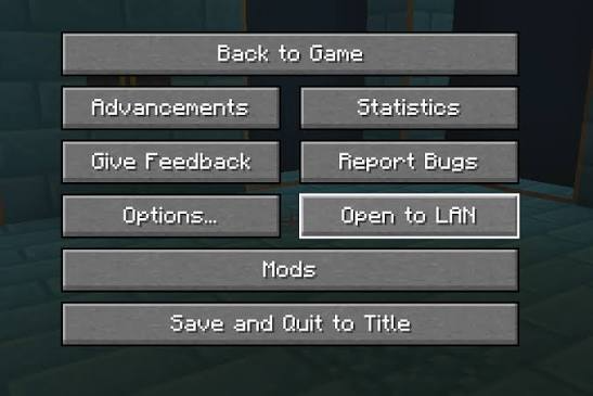 Minecraft open to lan.jpg